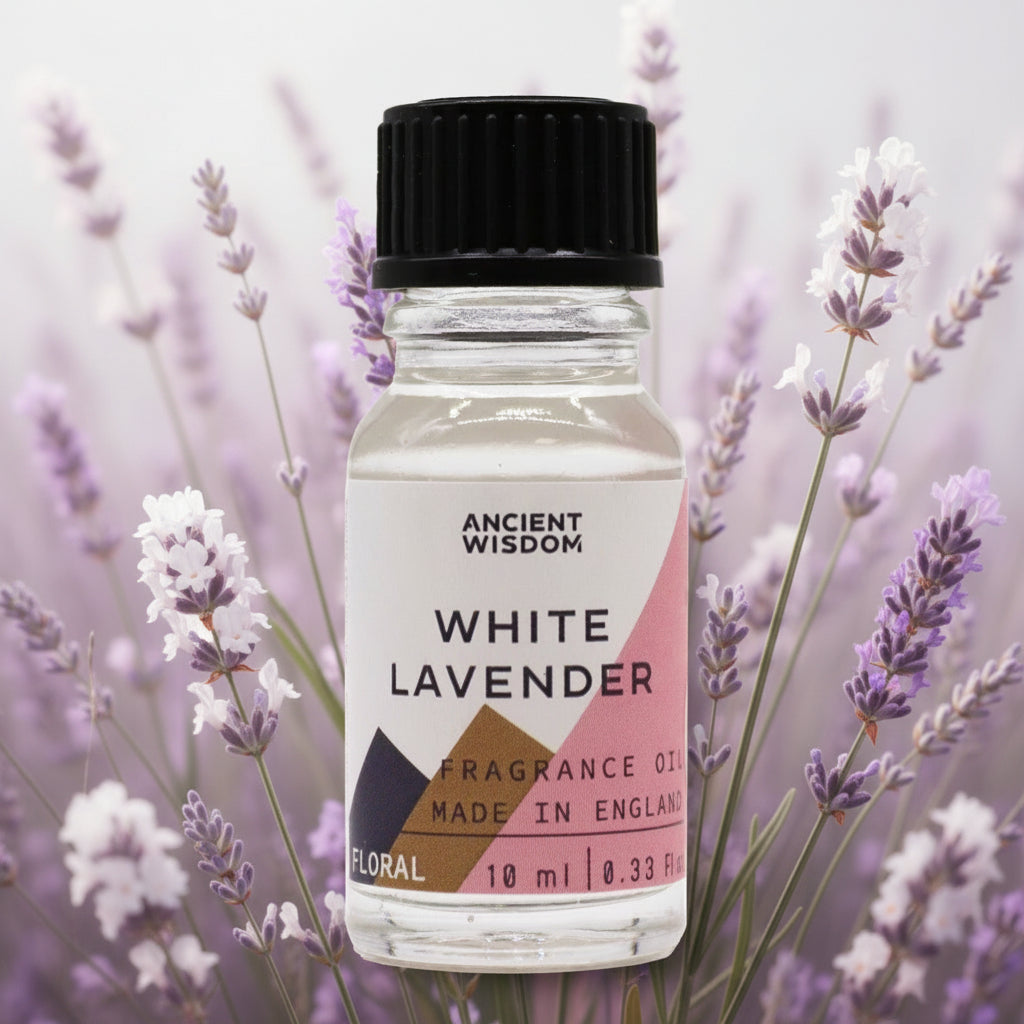 White Lavender Duftöl – Cleaner, pudriger Luxus-Lavendel für deine DIY-Kerzen (10 ml)