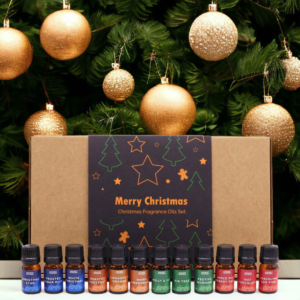 Festive Delights Duftöl-Set – 12x5 ml für Kerzenherstellung + 2 Pipetten
