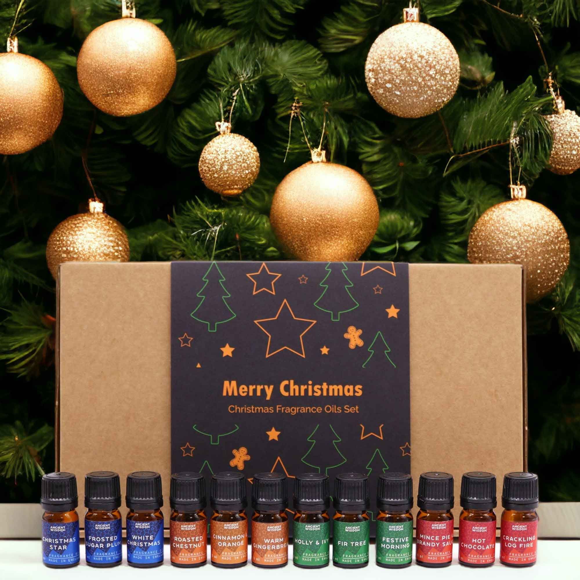 Festive Delights Duftöl-Set – 12x5 ml für Kerzenherstellung + 2 Pipetten