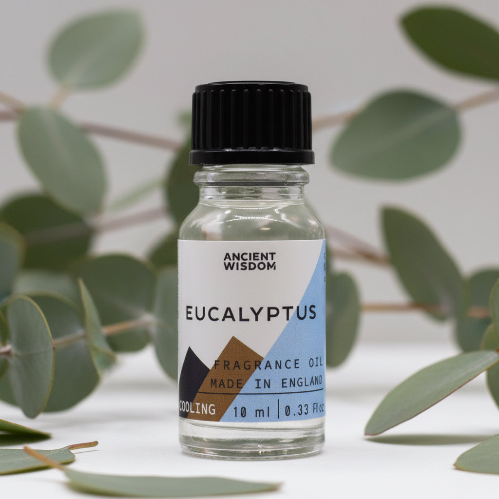 Eucalyptus Duftöl – Frische Sauna & kühle Minze für deine DIY-Kerzen (10 ml)