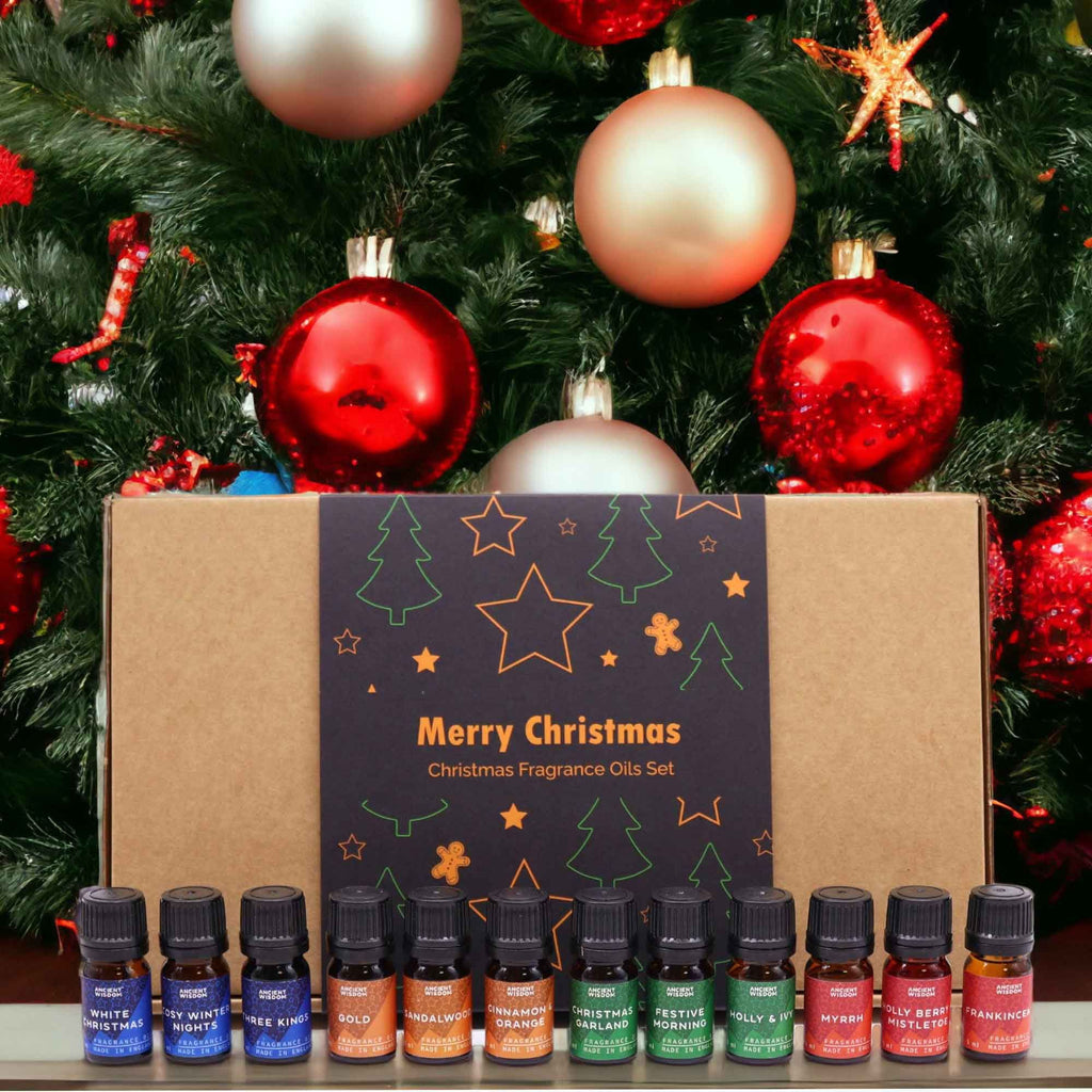 Holy Scents of Christmas Duftöl-Set – 12x5 ml für Kerzenherstellung + 2 Pipetten