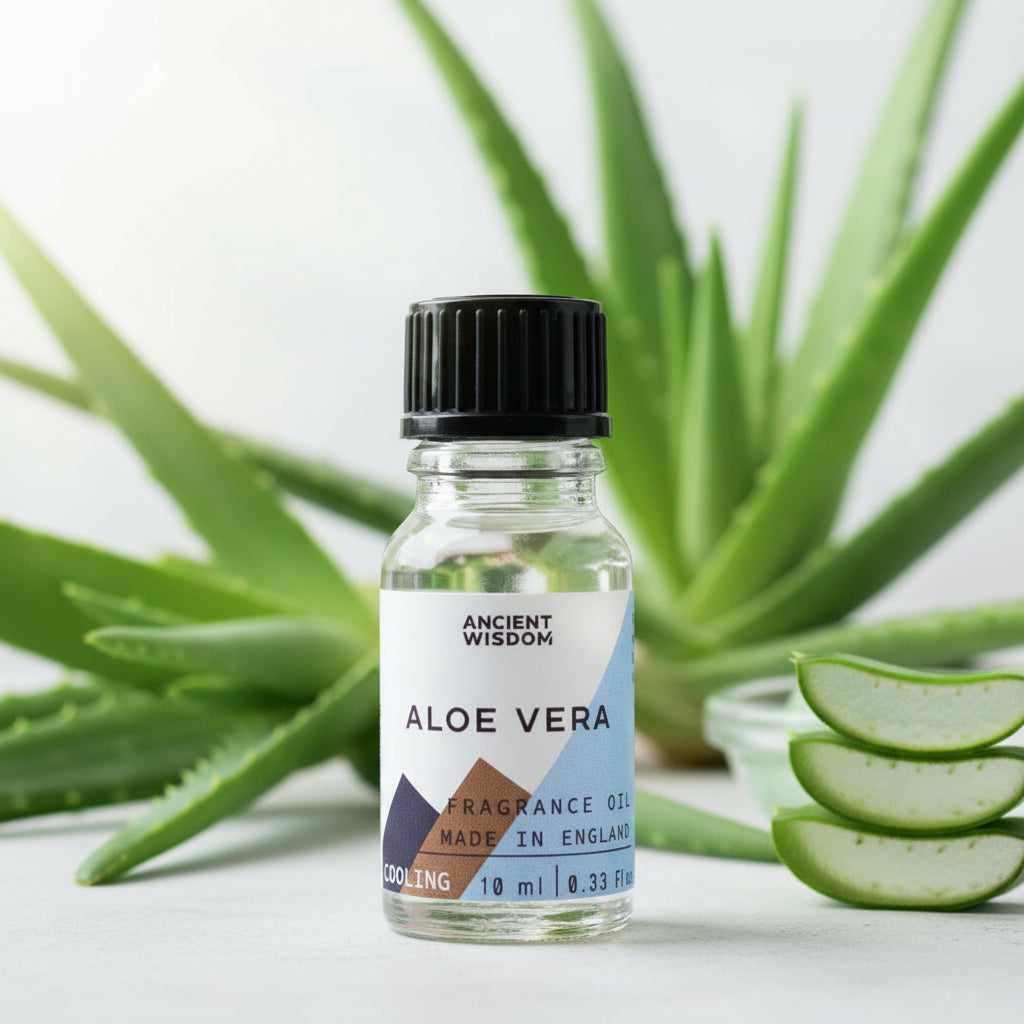 Aloe Vera Duftöl – Frische, kühle Aloe direkt aus der Pflanze für deine DIY-Kerzen (10 ml)