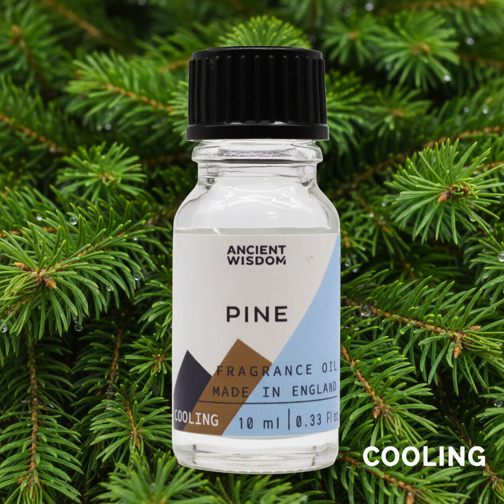 Pine Duftöl – Reiner Kiefernwald für deine DIY-Kerzen (10 ml)