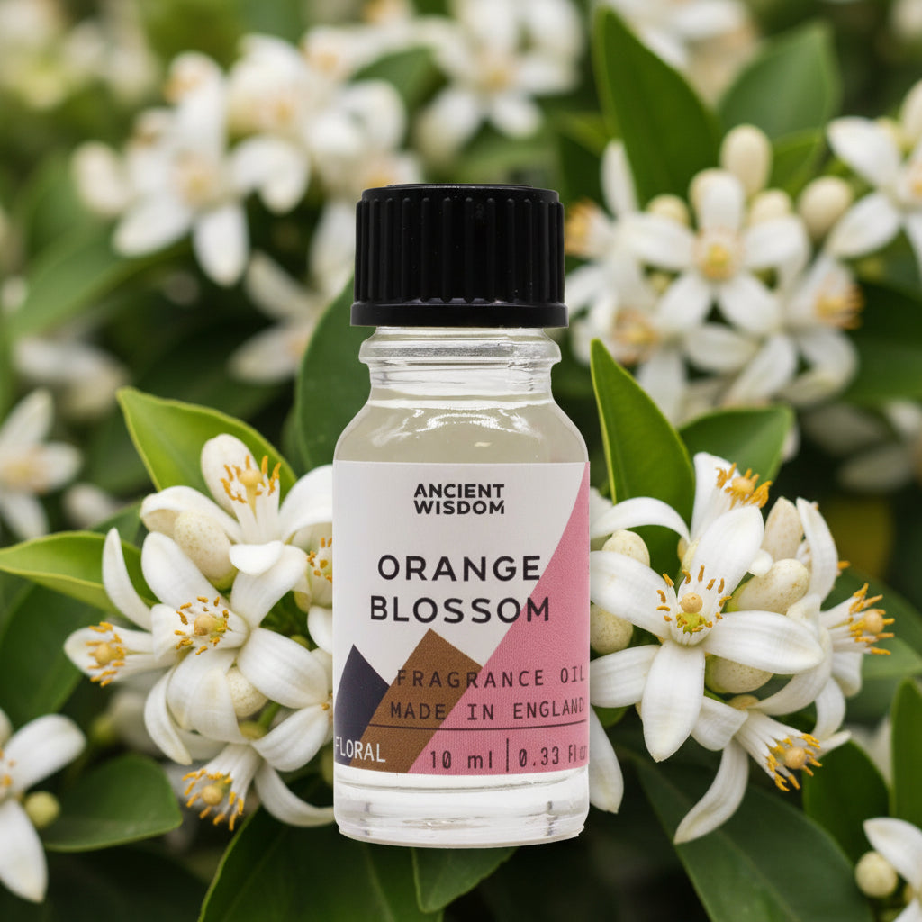 Orange Blossom Duftöl – Zarte Orangenblüten aus Sevilla für deine DIY-Kerzen (10 ml)